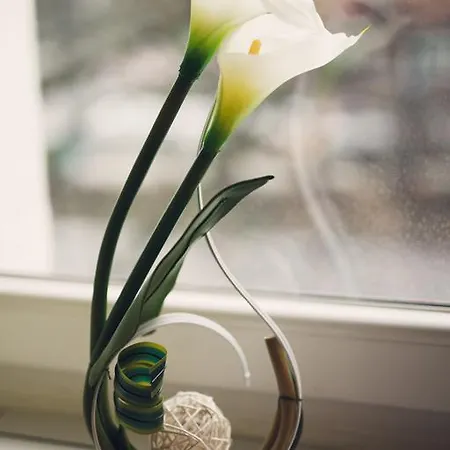 Aleda Galaxy Szczecin